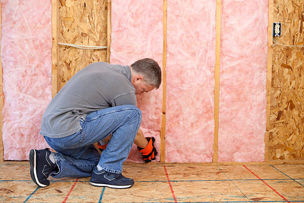 Best Specialty Insulation in Nevada, MO