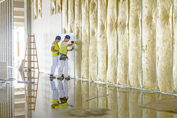 Best Insulation for Specific Applications in Nevada, MO